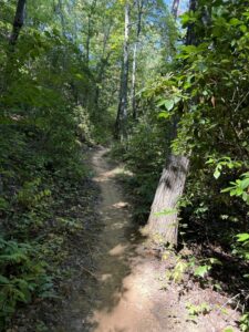 Hiking